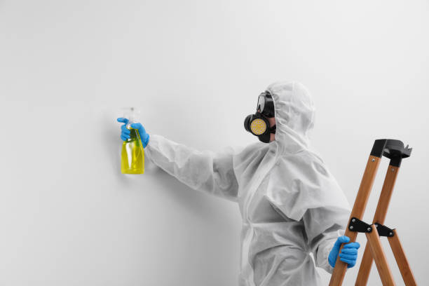 Best Industrial Mold Remediation  in Sandia Heights, NM